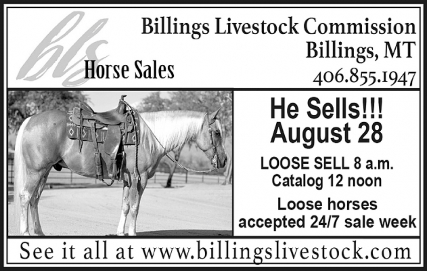 Horse Sales