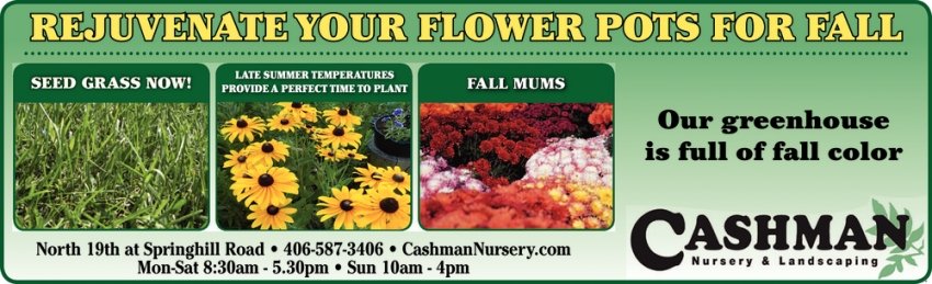 Rejuvenate Your Flower Pots For All