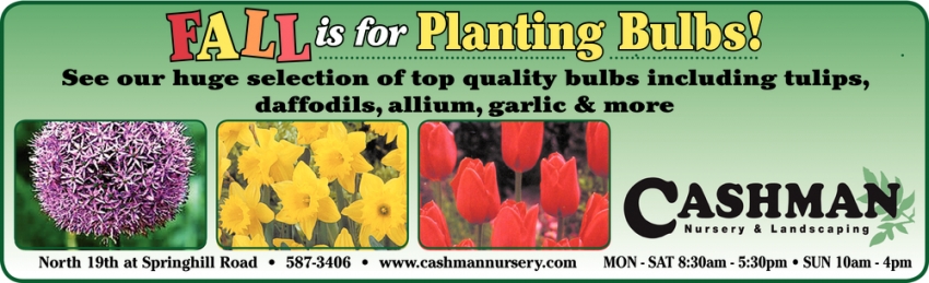 Fall Is For Planting Bulbs!