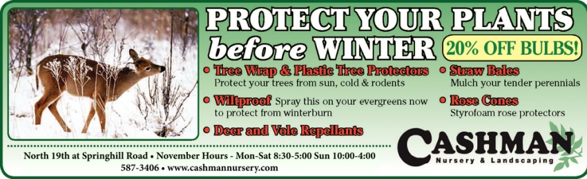 Protect Your Plants Before Winter