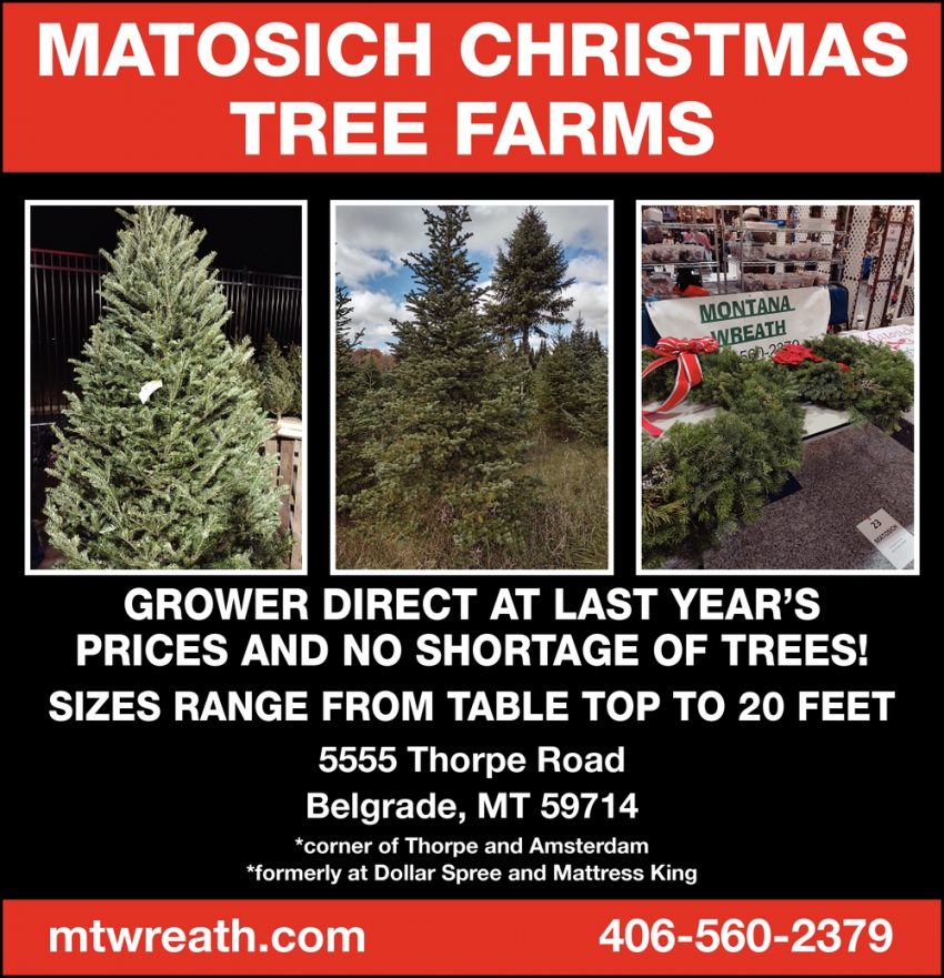 Grower Direct at Last Year's Prices and No Shortage of Trees!