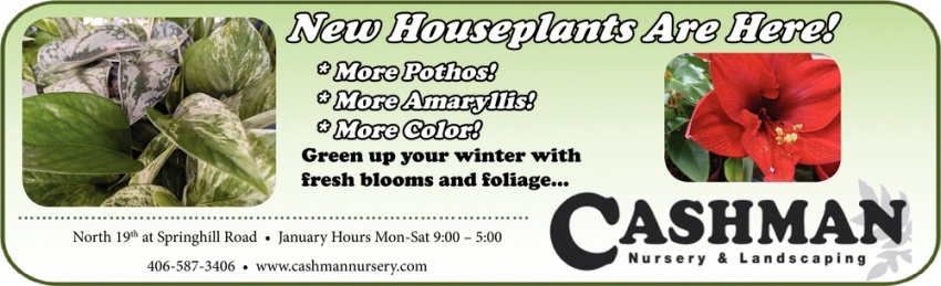 new Houseplants Are Here!