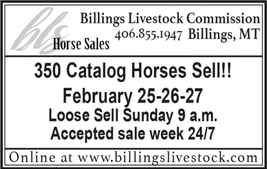 350 Catalog Horses Sell