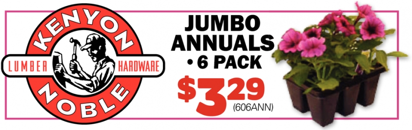Jumbo Annuals 6 Pack