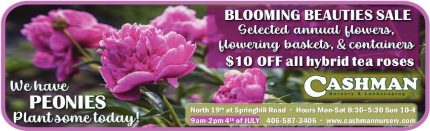 Blooming Beauties Sale
