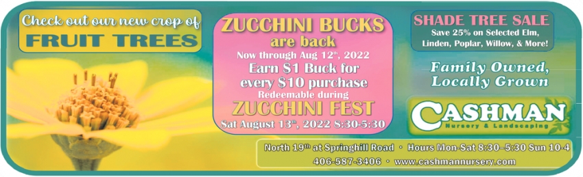 Zicchini Bucks Are Back