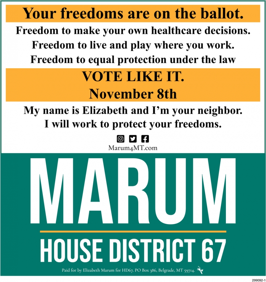 Your Freedoms Are On The Ballot