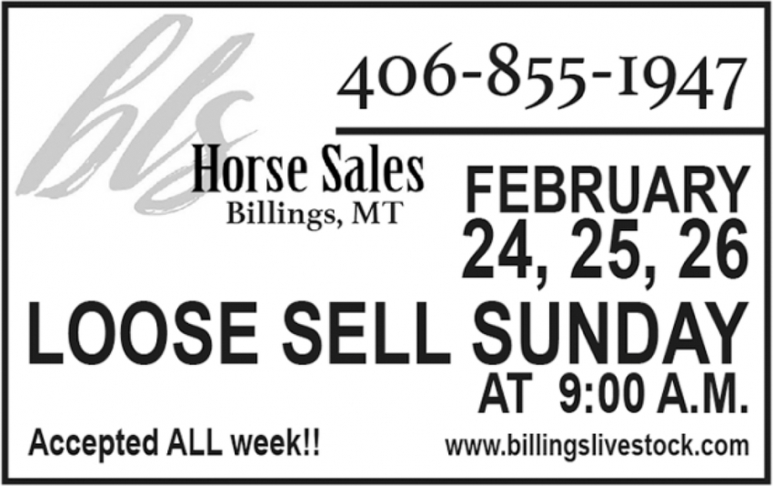 Horse Sales!