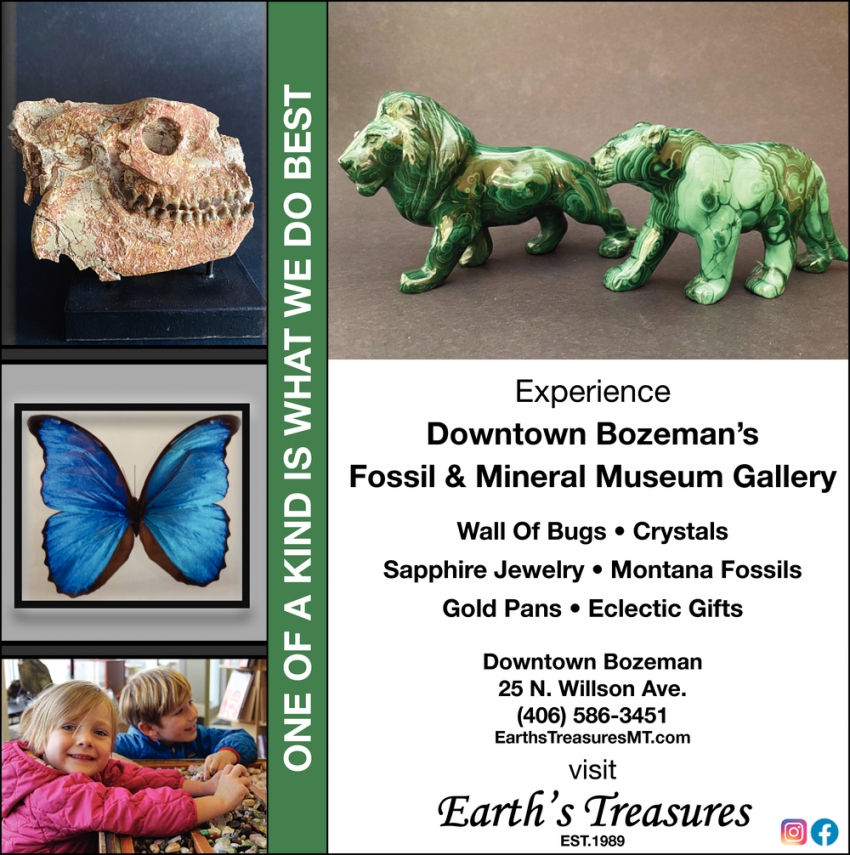 Experience Downtown Bozeman's Fossil & Mineral Museum Gallery