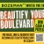 Beautify Your Boulevard