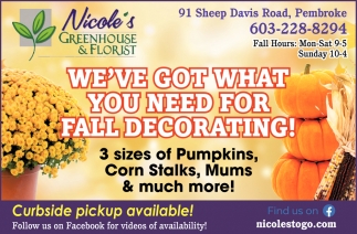 We've Got What You Need For Fall Decorating!