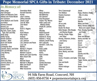 SPCA Gifts In Tribute: December 2021