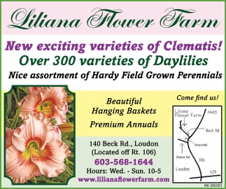 New Exciting Varieties Of Clematis!