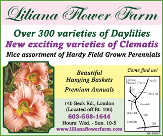 New Exciting Varieties Of Clematis!