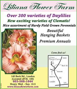 New Exciting Varieties Of Clematis!