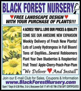 Free Landscape Design