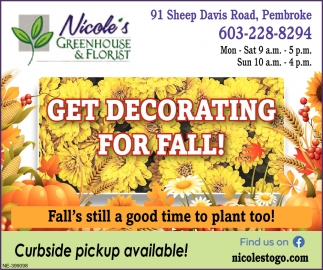 Get Decorating For Fall!