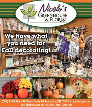 We Have What You Need For Fall Decorating