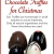 Chocolate Truffles For Christmas