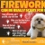 Fireworks Can Be Really Scary for Pets