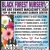 4 Acres! Biggest & Best Selection!