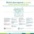 World-Class Experts in Nearly Every Area of Medicine