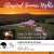 Classical Summer Nigths 