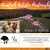 Join Vermont Music and Arts Faculty