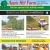 Call for Special Fall Activity Events