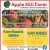 Pick Your Own Apples & Seedless Grapes!