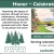 Honor - Celebrate - Reflect