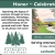 Honor - Celebrate - Reflect