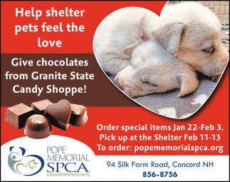 Help Shelter Pets Feel The Love