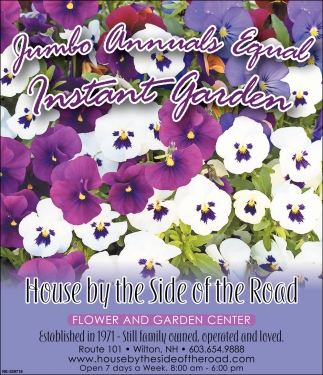 Jumbo Annuals Equal Instant Garden