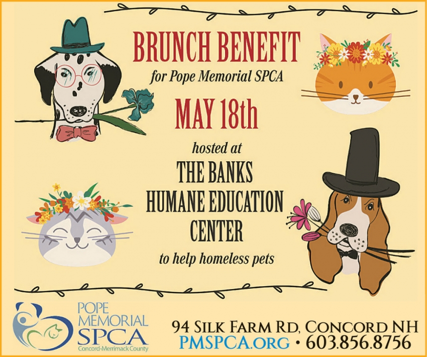 Pope Memorial SPCA