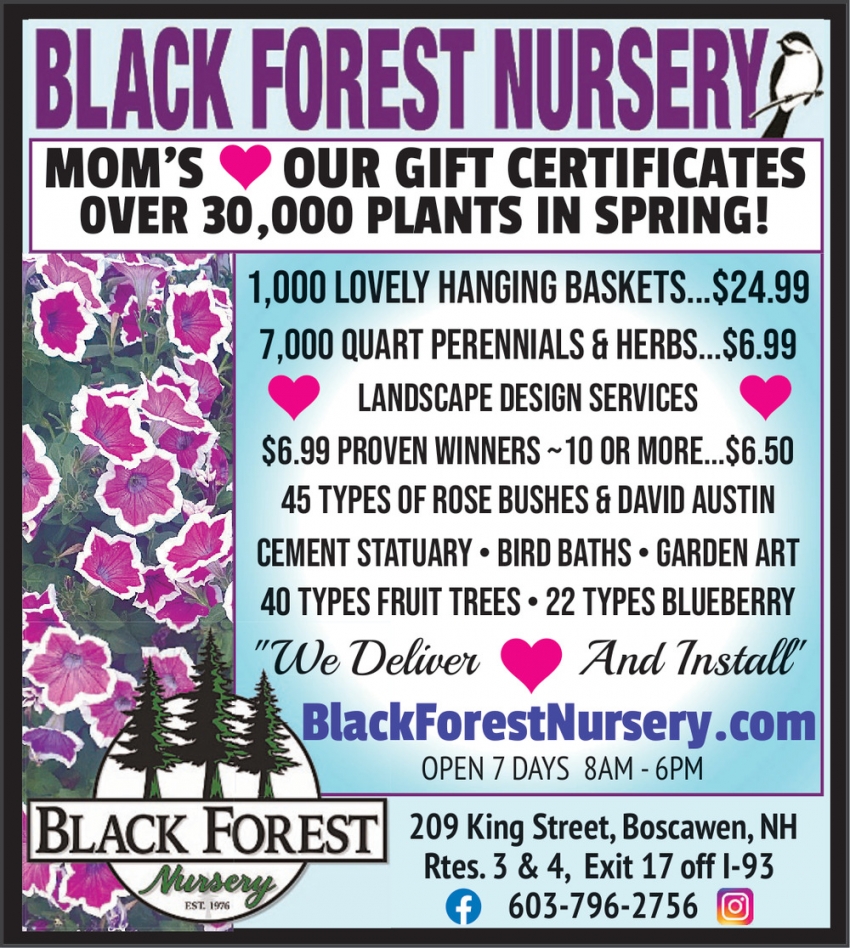 Black Forest Nursery