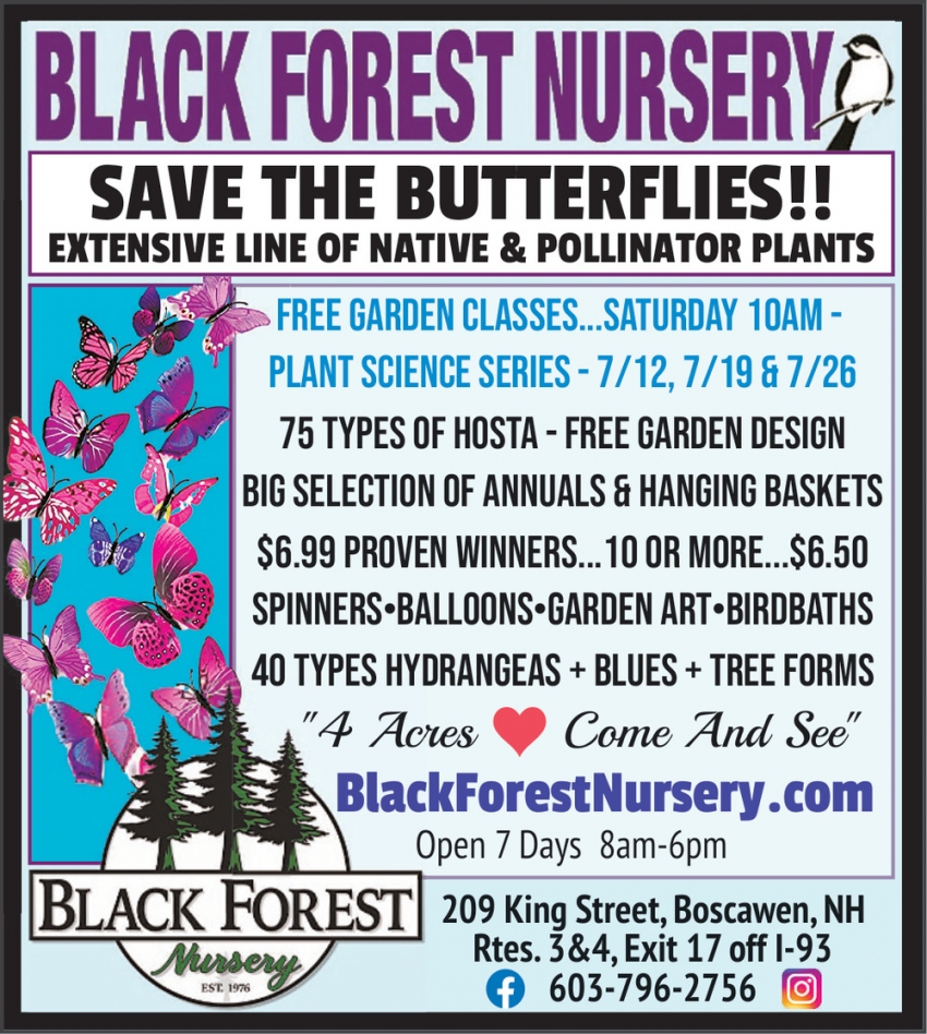 Black Forest Nursery