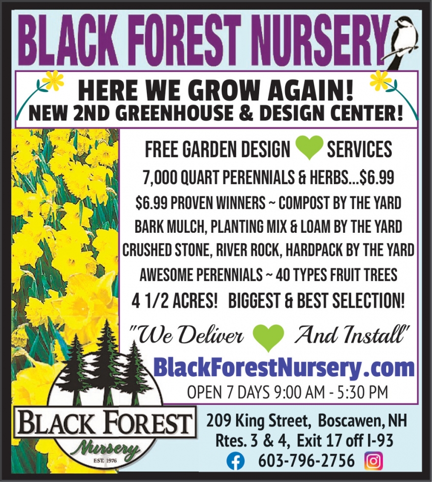 Black Forest Nursery