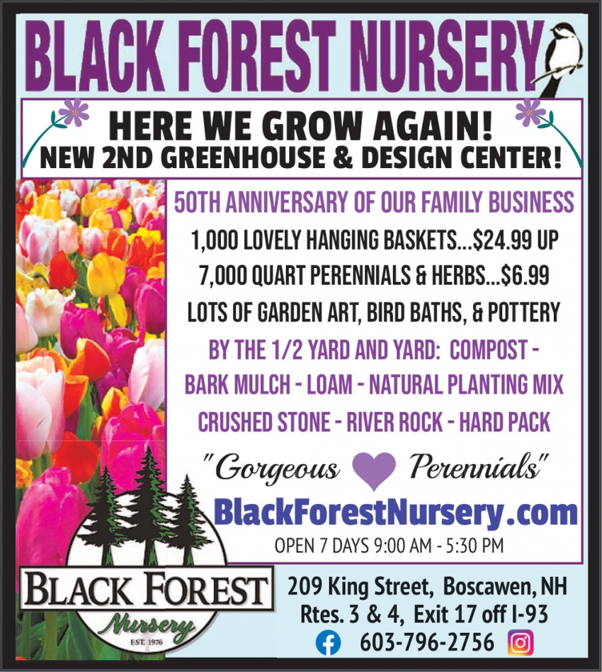 Black Forest Nursery