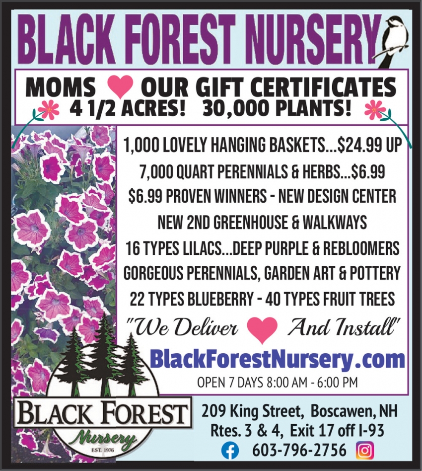 Black Forest Nursery