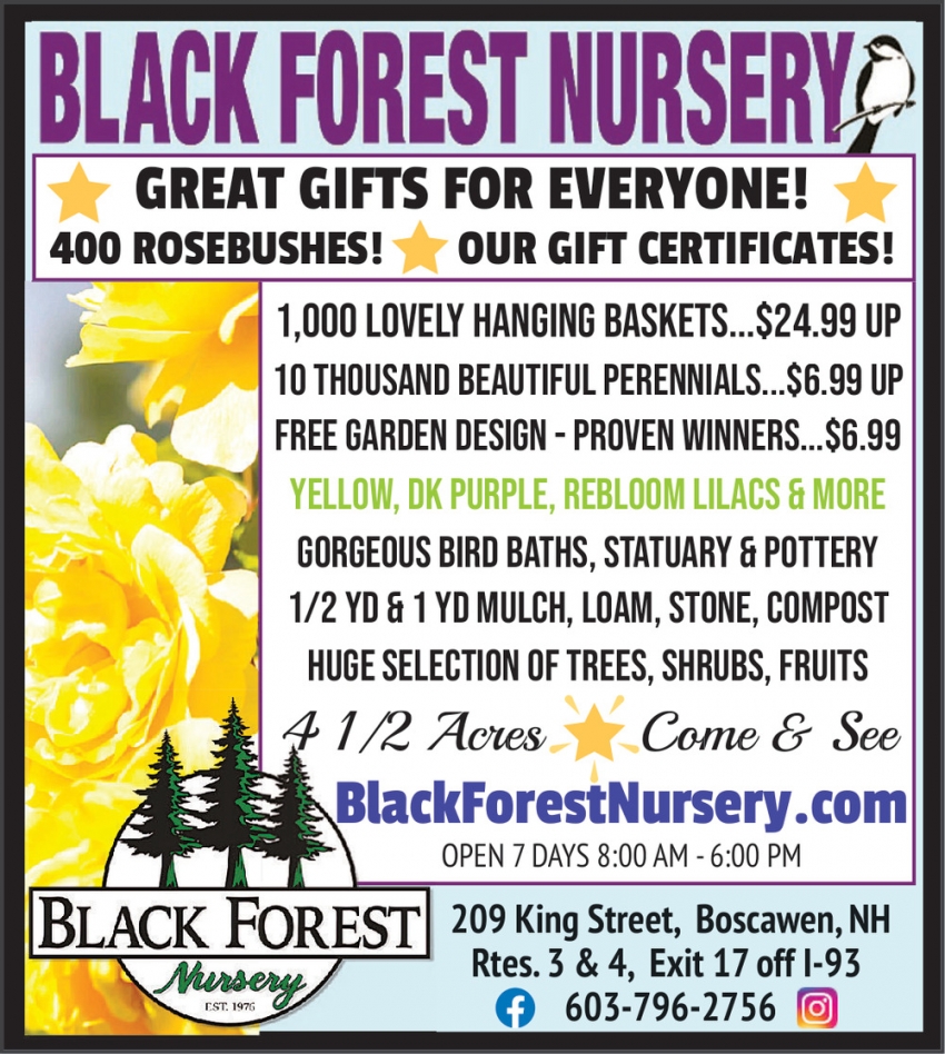 Black Forest Nursery