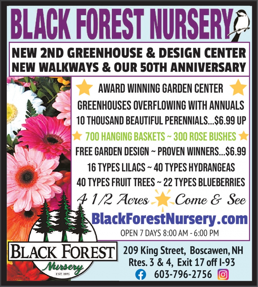 Black Forest Nursery