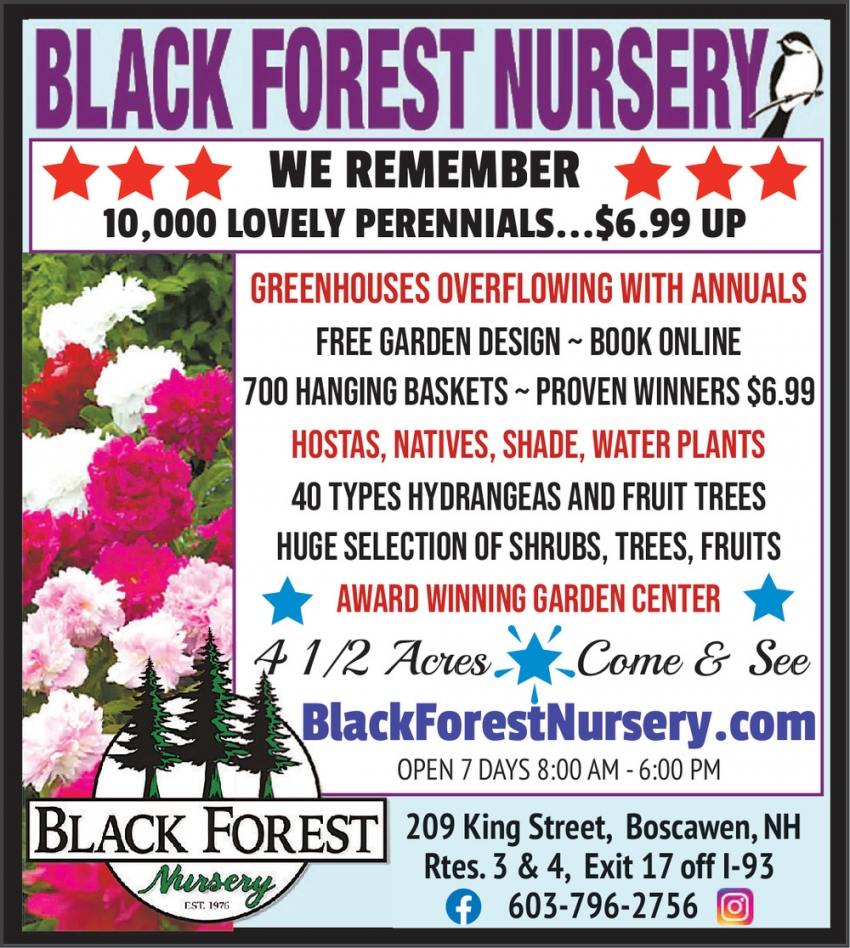 Black Forest Nursery