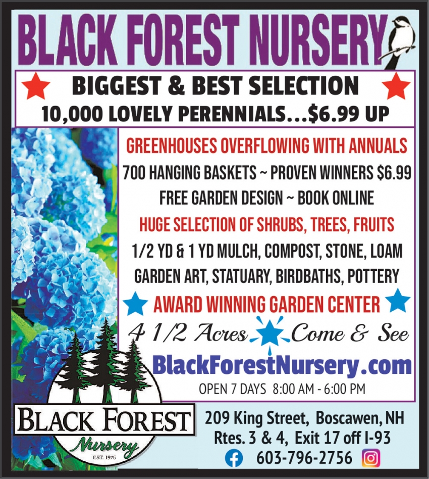Black Forest Nursery