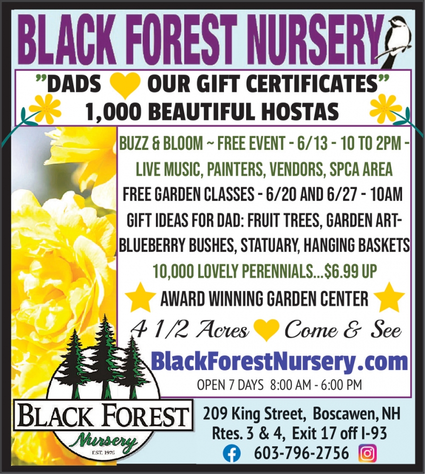 Black Forest Nursery