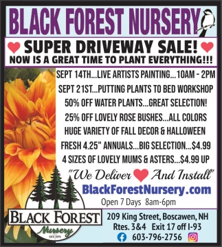 Black Forest Nursery