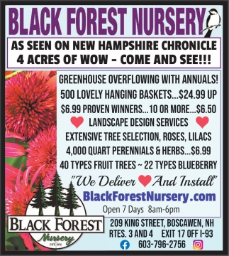 Black Forest Nursery