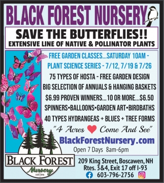 Black Forest Nursery