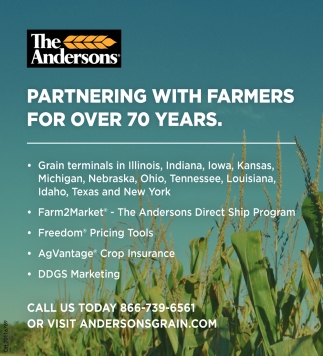 Andersons Grain Jobs