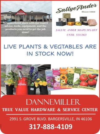Live Plants & Vegetables are in Stock Now!